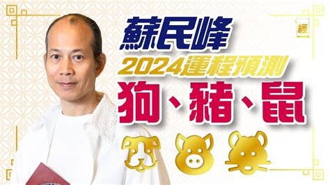 2024豬運程|蘇民峰2024十二生肖運程：屬狗、豬、鼠、牛、虎、。